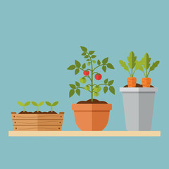 Fototapeta premium Illustration of a tomato plant, carrots, and seedlings in pots on a shelf.