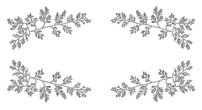 Elegant botanical corner frame, silver leaf branches, decorative flourish, isolated on white