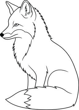 Minimalist line art sketch of a sitting fox