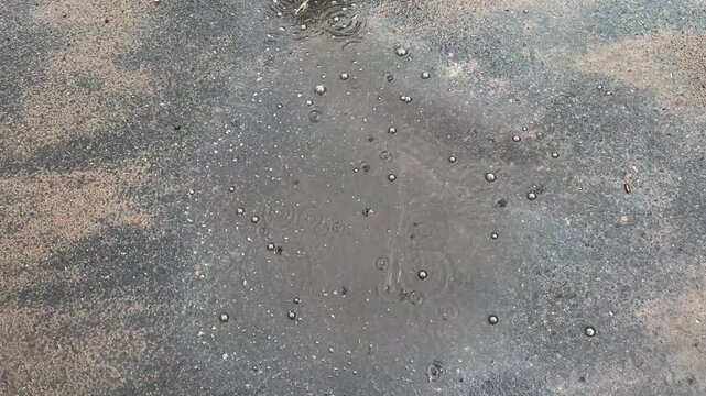 Raindrops falling into dirty puddle on asphalt road, with bubbles and ripples of water, background with urban texture in rainy weather
