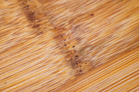 Close-up texture of weathered bamboo with dark spots and grain detail