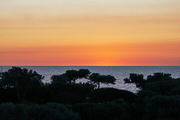 Obraz premium Vibrant sunset over the ocean with silhouetted coastal trees in the foreground, creating a calm and atmospheric landscape ideal for travel, relaxation, and nature themes.