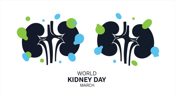 Illustration of human kidneys with decorative elements and world kidney day text