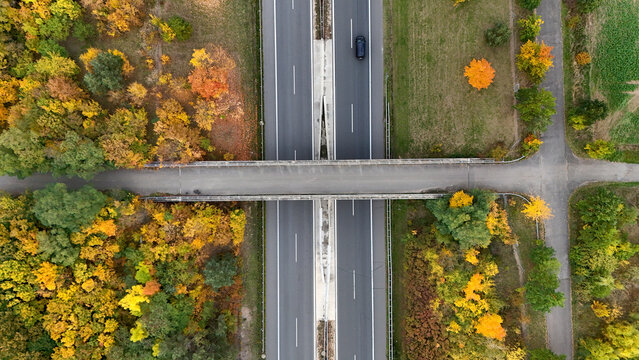 Top-down aerial view of a highway bridge crossing a multi-lane road in an autumn forest with a red car driving. Clean geometric composition of modern infrastructure and colorful nature.
