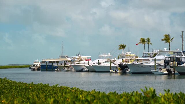 Beautiful modern yachts and boats stand in a row near the pier. Green grass in the foreground and palm trees in the backdrop wave in the wind. Windy cloudy day in Key West, Florida, USA.
