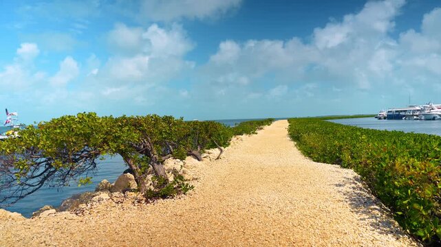Narrow isthmus covered with gravel and outlined by the green bushes in blue marina. Modern yachts and boats stand near the pier in the backdrop. Harbor of Key West, Florida, USA.