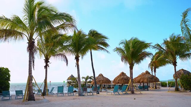 Beautiful sandy shore for relaxing rest. Deck chairs stand in a row among the palm trees waving in the wind. Key West, Florida, USA.