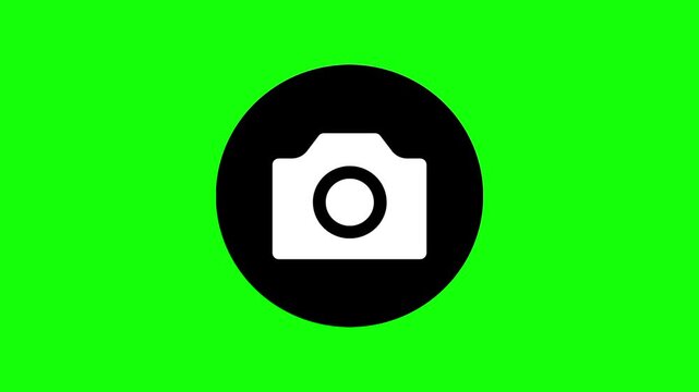 Digital camera icon animated mockup cartoon vector. Multimedia idea, picture, photography symbol. Popup clipart shape animation green screen background template.