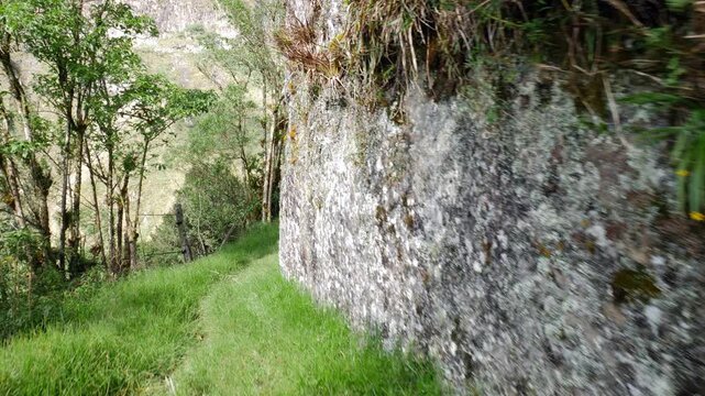 Walking along a remnant of an Inca Road in Ecuador. In the Rio Verde Chico Valley near Banos in the Ecuadorian Andes. Only a few sections of this presumably Inca stonework remain on this trail.