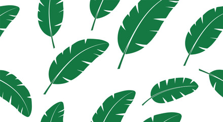 Green banana leaves pattern on white background, tropical plant foliage, simple illustration © Mahraz