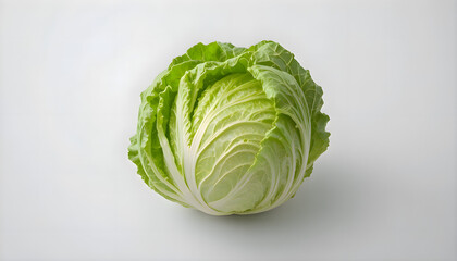 Fototapeta premium Head of lettuce on white surface, fresh green organic vegetable for healthy salad, diet and nutrition gourmet food concept