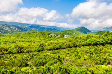 Obraz premium Randi forest of Ikaria island, Greece with ancient Greek oak trees at Sierra Atheras mountains on hiking trail from Raches to Magganitis