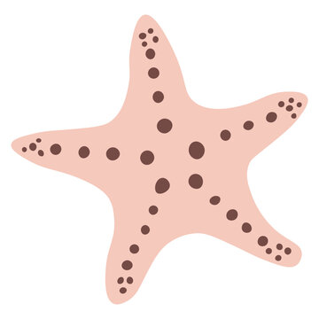 Minimalist detailed starfish icon with five arms and spotted texture in earthy beige tones. This iconic nautical element is ideal for summer branding or ocean decor