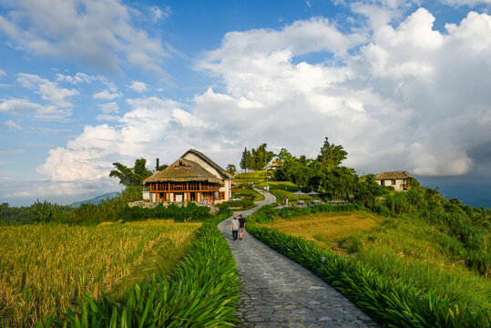 산책로,벼,논,초가집,리조트,토파스에코로지,Topas Ecolodge,사파,라오까이성,베트남