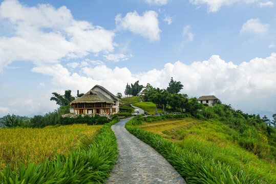 산책로,벼,논,초가집,리조트,토파스에코로지,Topas Ecolodge,사파,라오까이성,베트남