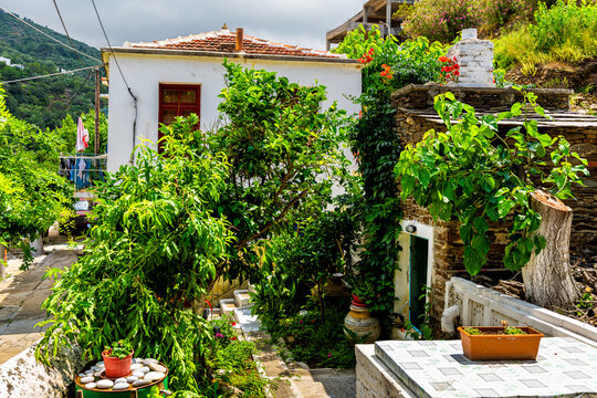 Flower vegetable garden outdoor home house in Karavostamo, Ikaria Greece Greek village residential building with potted flower pot plants in summer
