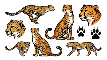 Cheetah Illustration Set Fastest Land Animal Wildlife Collection © welyalfian