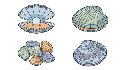Seashell and Clam Vector Set Oyster Pearl Marine Collection © welyalfian