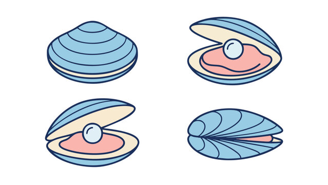 Clam and Pearl Vector Set Seashell Oyster Marine Illustration
