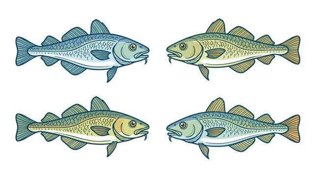 Cod Fish Set Vector Illustration in Multiple Color Variations