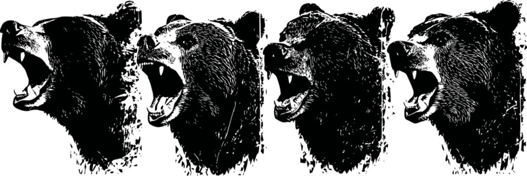 roaring brown bear head silhouette set with open mouth and visible teeth in wild animal expression