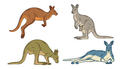 Kangaroo Vector Set Multiple Poses Jumping Resting Grazing with Joey © welyalfian