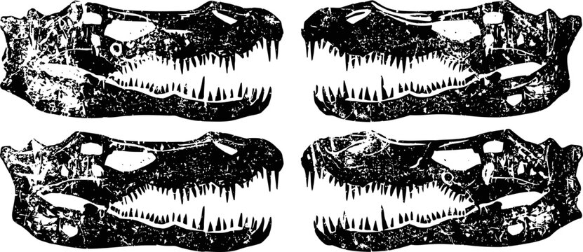 Four detailed black silhouettes of crocodile skulls with sharp teeth and open jaws