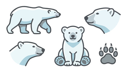 Polar bear collection with walking sitting paw and head illustration © welyalfian