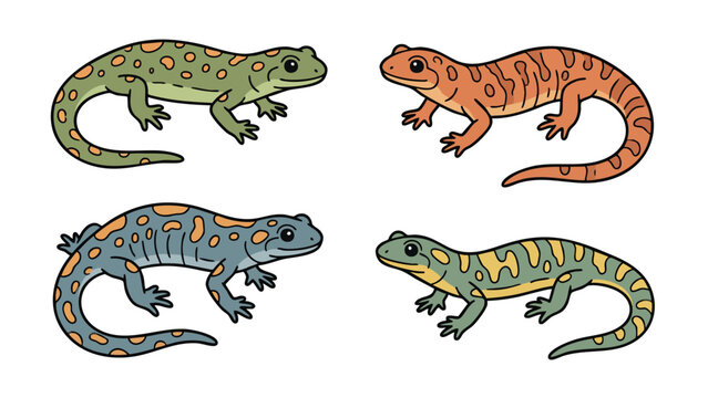 Colorful salamander set cute amphibian cartoon illustration collection