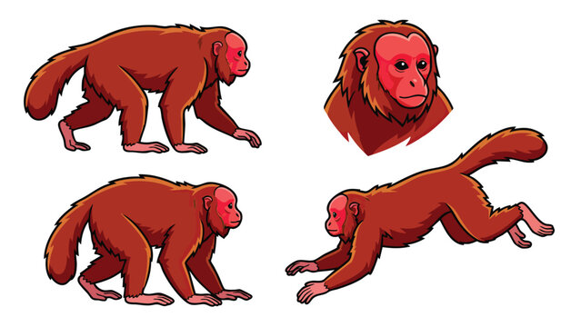 Red Uakari Monkey Character Set in Various Poses