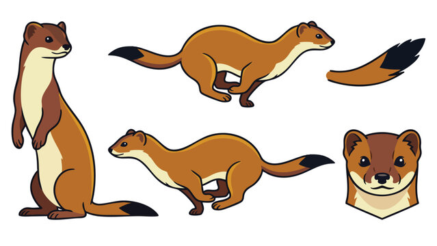 Cute Weasel Character Set in Various Poses