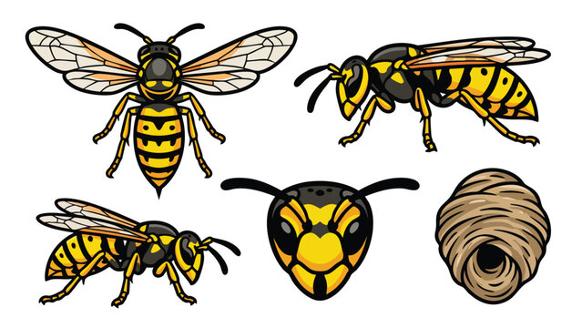 Yellowjacket Wasp Character Set with Nest and Head Icon