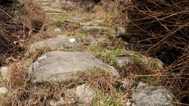 Walking along a remnant of an Inca Road in Ecuador. In the Rio Verde Chico Valley near Banos in the Ecuadorian Andes. Only a few sections of this presumably Inca stonework remain on this trail.