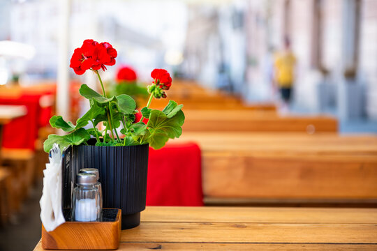 Restaurant sidewalk cafe wooden table with red geranium flower pot plant in Warsaw, Poland old town market square in blurry blurred background