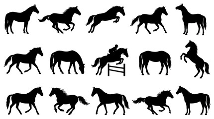 Fototapeta premium Equestrian Horses Silhouettes Vector Set - Dynamic Black Equine Animal Collection