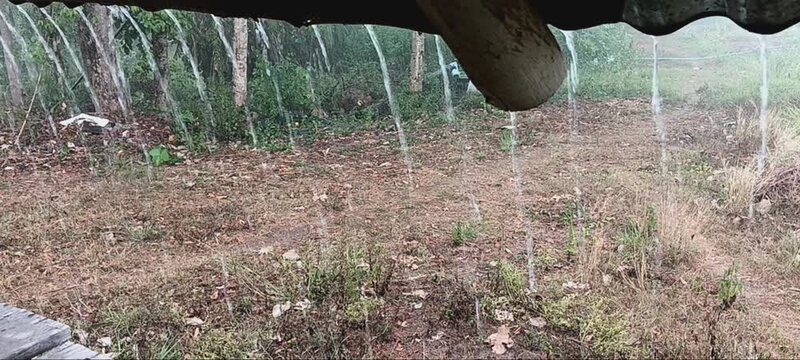 watering the grass