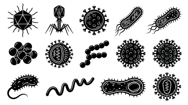 Medical Microbiology Viruses Bacteria Germs Pathogens Glyph Icons Vector Set