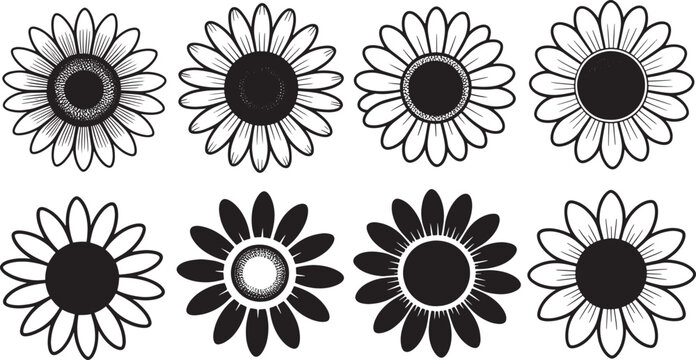 Sunflower and daisy flower heads set of black outline and silhouette shapes for floral design elements.