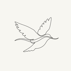 Fototapeta premium Peaceful Continuous Line Flying Bird, Serene Avian Art, Elegant Minimalist Design in Bright Studio