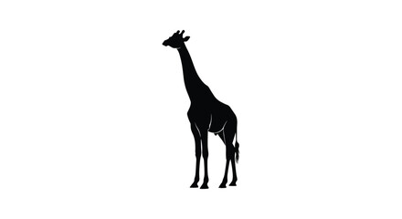 Fototapeta premium Minimalist full body silhouette of a giraffe standing in profile view