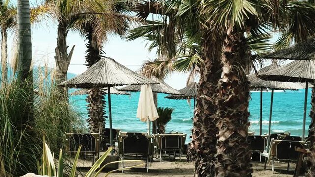 Handheld shot Palm trees and straw beach parasols with empty lounge chairs near turquoise sea. Tropical seaside resort with wooden sunbeds, sandy shore and calm water, summer vacation travel