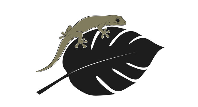 Green Gecko on Black Leaf.