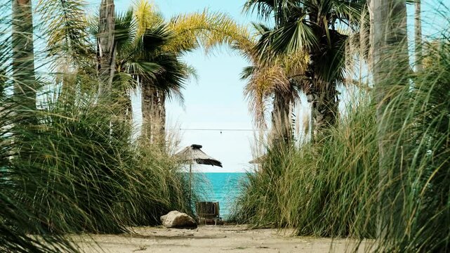 Handheld shot Tropical beach path between palm trees and tall grass leading to turquoise sea. Straw parasol and empty lounge chair on sandy shore, sunny summer seaside resort with exotic coastal 