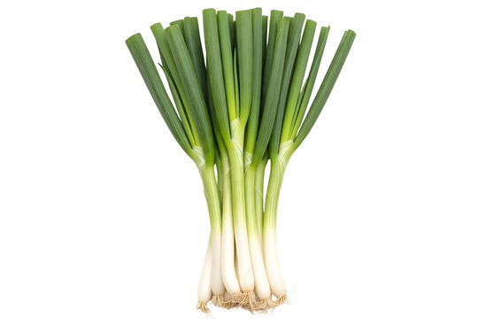 Fresh green onions or scallions isolated on transparent background