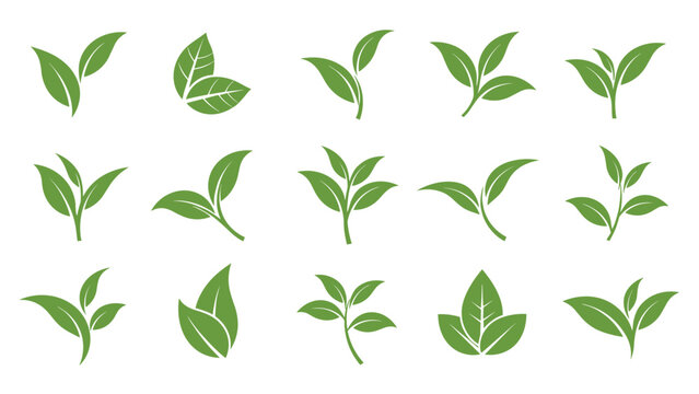 Minimalist icons and logos of green tea leaves in different sprig arrangements for organic and natural brand identities.