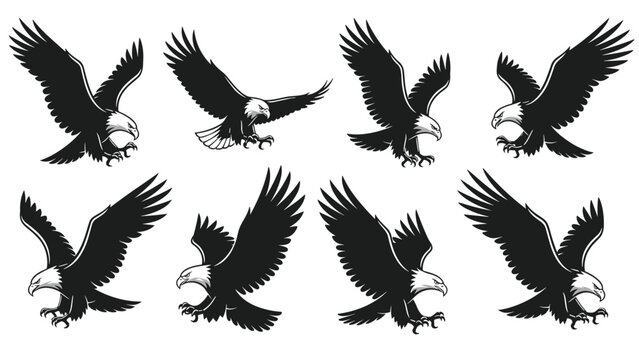 Silhouettes of bald eagles in various stages of flight and landing with wings spread wide against a plain white background.