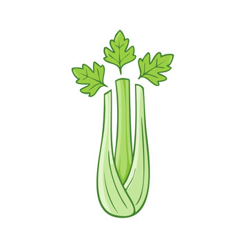 Fresh green celery stalk with leaves illustration simple healthy food icon