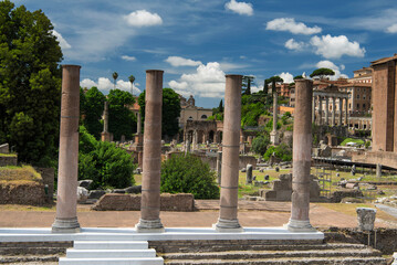 Naklejka premium the roman forum archaeological site in rome italy