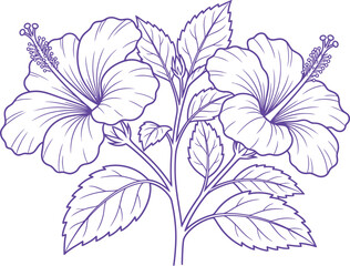 Blue line drawing of hibiscus flowers © ASIF KARIM