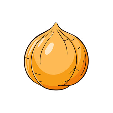 Single yellow onion bulb with visible layers and a pointed top isolated on white